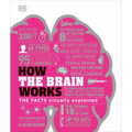 How the Brain Works: The Facts Visually Explained