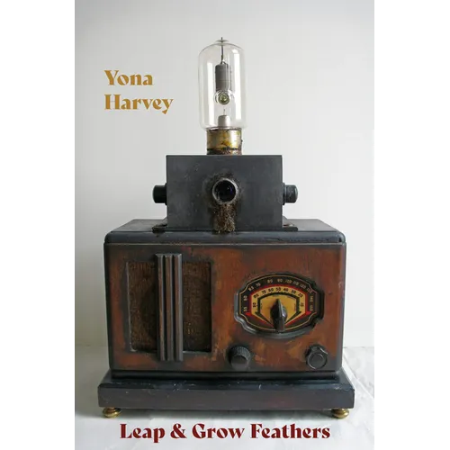 Leap & Grow Feathers