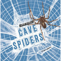 Cave Spiders