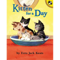 Kitten for a Day