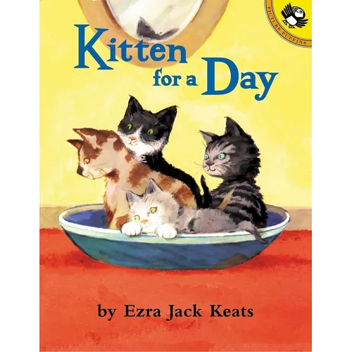 Kitten for a Day