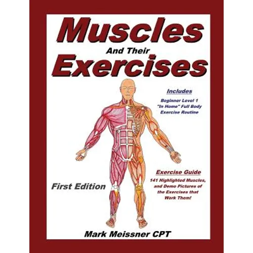 Muscles And Their Exercises