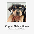 Copper Gets a Home: A Decodable Text