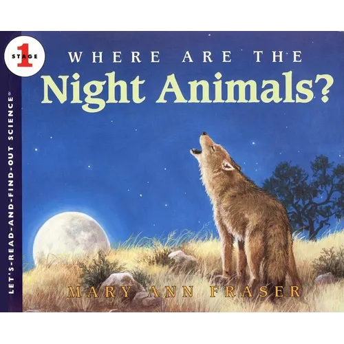 Where Are the Night Animals?