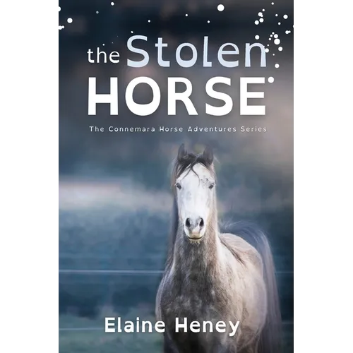 The Stolen Horse - Dyslexia Friendly