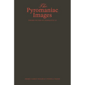 The Pyromaniac Images: Theory-Fiction of Generative AI
