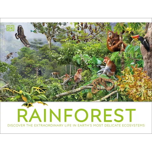 Rainforest