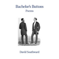 Bachelor's Buttons