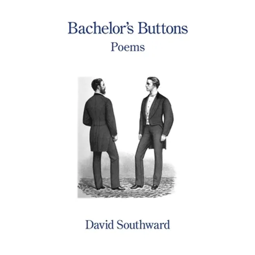 Bachelor's Buttons