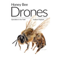 Honey Bee Drones: Specialists in the Field