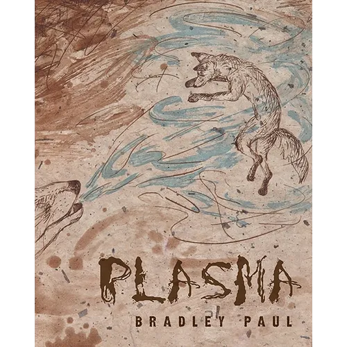 Plasma