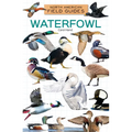 Waterfowl