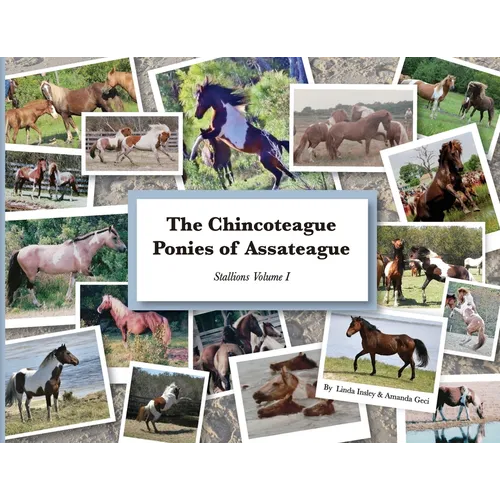 The Chincoteague Ponies of Assateague: Volume I Stallions