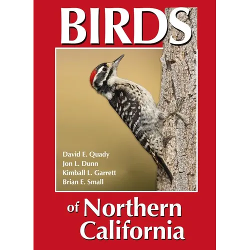 Birds of Northern California