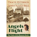 Angels Flight (The Trials of Kit Shannon #2)