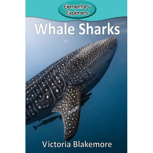 Whale Sharks