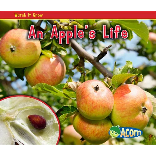 An Apple's Life