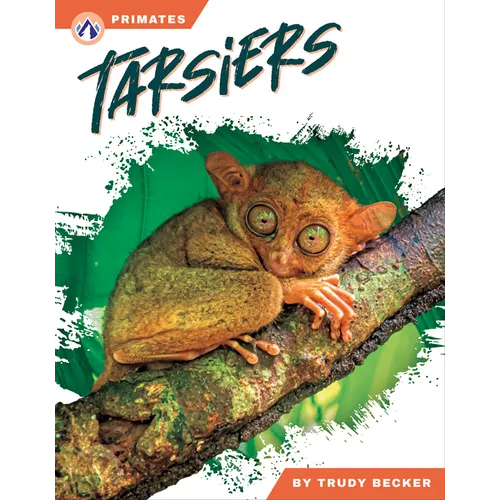 Tarsiers