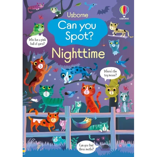 Can You Spot? Nighttime