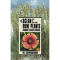 Guide to Ocean Dune Plants Common to North Carolina