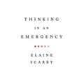 Thinking in an Emergency