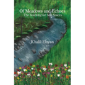 Of Meadows and Echoes: The Yearning for Soft Spaces