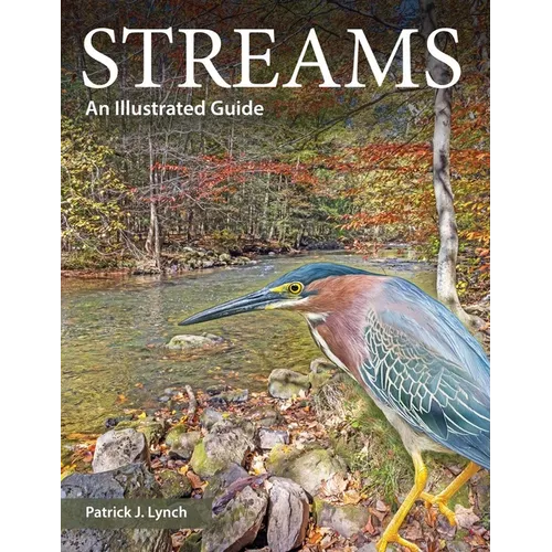 Streams: An Illustrated Guide