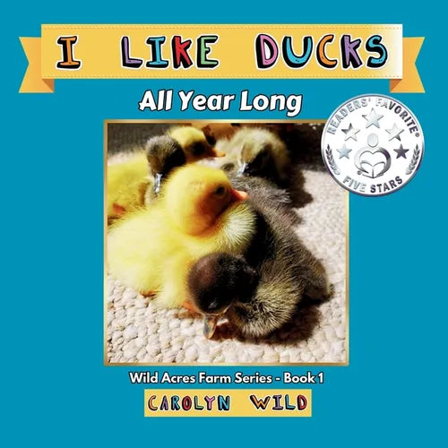 I Like Ducks: All Year Long