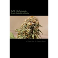 No Till, Fully Sustainable, Organic, Cannabis Cultivation: A Complete Guide For Complete Beginners!