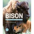 Bison: Community Builders and Grassland Caretakers
