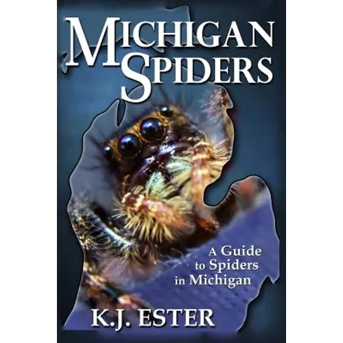 Michigan Spiders