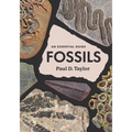 Fossils: An Essential Guide