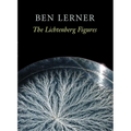 The Lichtenberg Figures