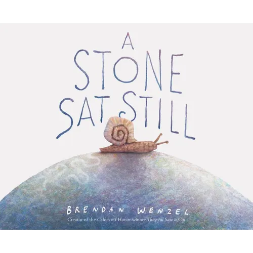 A Stone SAT Still