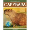 Capybara: Fascinating Animal Facts for Kids