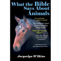 What the Bible Says About Animals