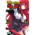 High School DXD, Vol. 12 (Light Novel): Supplementary Lesson Heroes Volume 12
