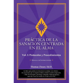 PRÁCTICA DE LA SANACIÓN CENTRADA EN EL ALMA   Vol. I: Protocolos y Procedimientos