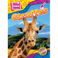 Giraffes