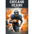 Chicago Bears Fun Facts