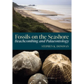 Fossils on the Seashore: Beachcombing and Palaeontology