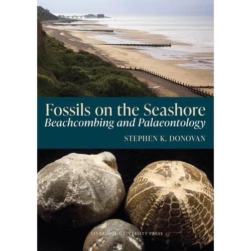Fossils on the Seashore: Beachcombing and Palaeontology