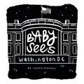 Baby Sees Washington, DC: A High-Contrast Board Book for Babies