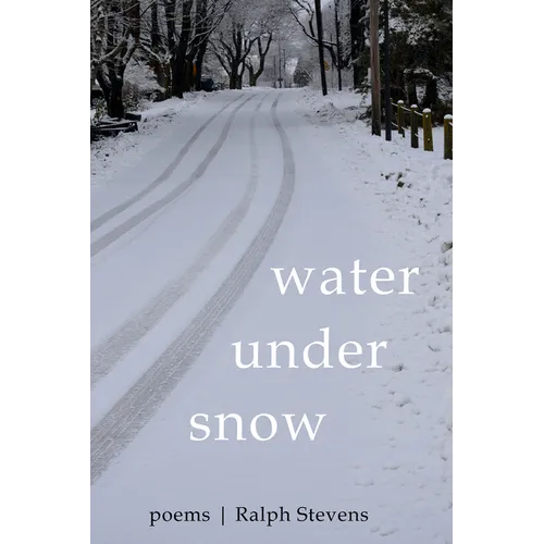 Water Under Snow: Poems