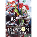 Reincarnated as a Dragon Hatchling (Light Novel) Vol. 11