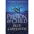 Blue Labyrinth