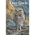 Our Owls: Burrowing Owls in Cesar Chavez Park, Berkeley