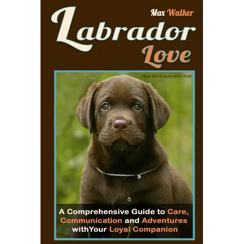 Labrador Love: A Comprehensive Guide to Care, Communication, and Adventures with Your Loyal Companion - From Labrador Retriever Origins to Training an