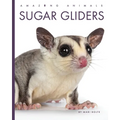 Sugar Gliders