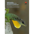Wildlife of the Eastern Caribbean